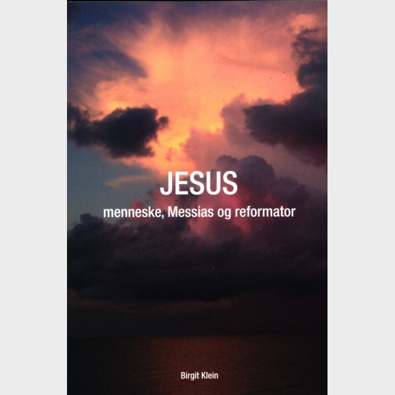 Jesus - Menneske, Messias Og Reformator - Birgit Klein - Bog
