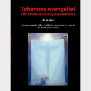 Johannes Evangeliet I �ndsvidenskabelig Overs�ttelse - Finn N�rlev - Bog