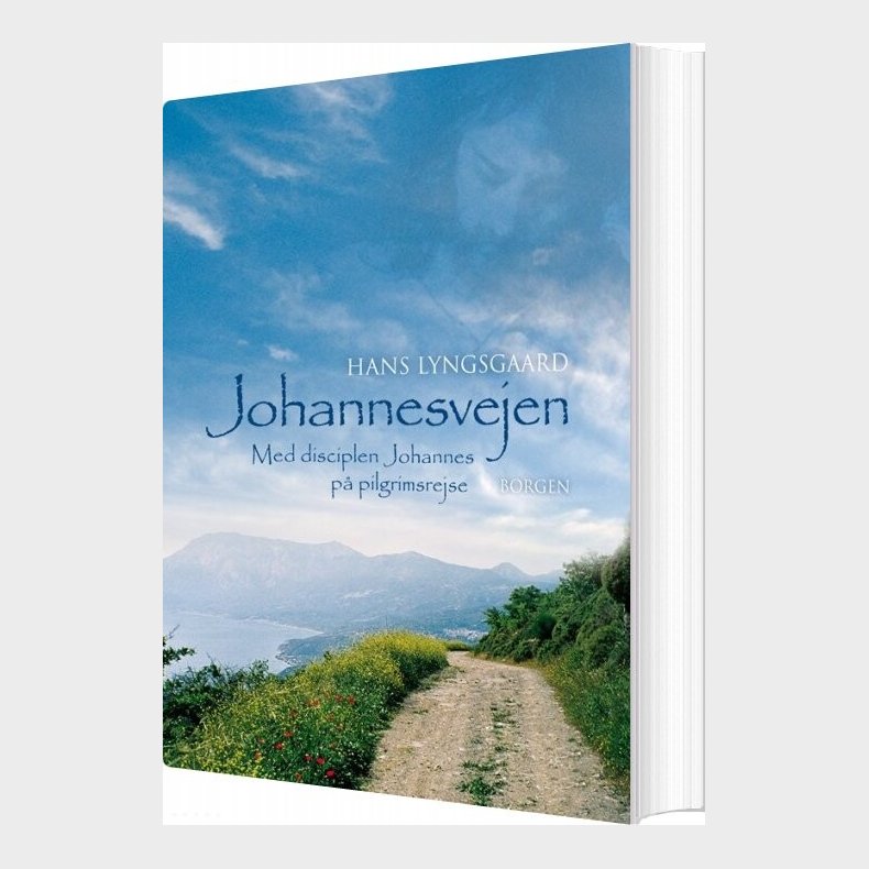 Johannesvejen - Hans Lyngsgaard - Bog