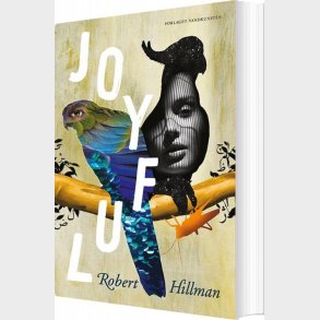 Joyful - Robert Hillman - Bog