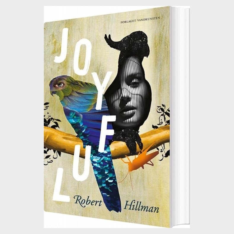 Joyful - Robert Hillman - Bog