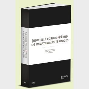 Judicielle Forbud/p�bud Og Immaterialretsproces - Thomas Riis - Bog