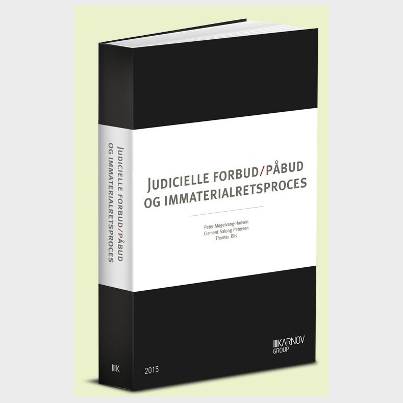 Judicielle Forbud/p�bud Og Immaterialretsproces - Thomas Riis - Bog