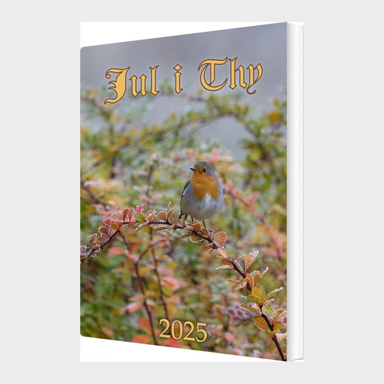 Jul I Thy 2025 - Museum Thy - Bog