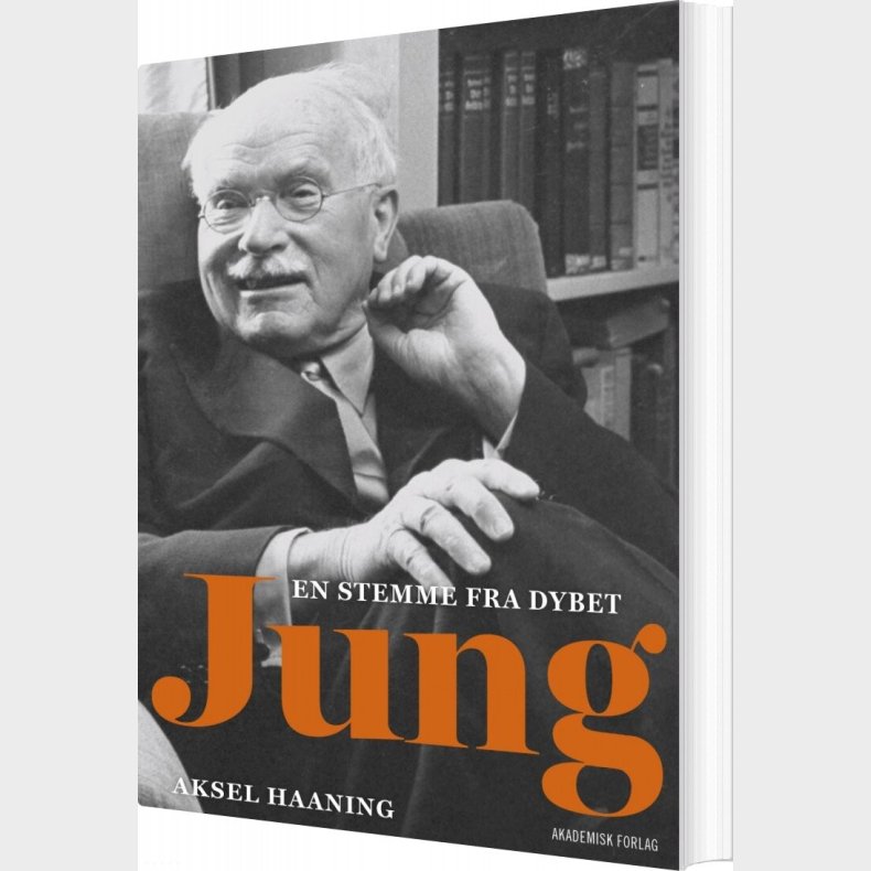 Jung - Aksel Haaning - Bog