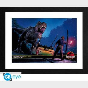 Jurassic Park - Framed Print Alan Grant Vs T-rex (30x40) X2
