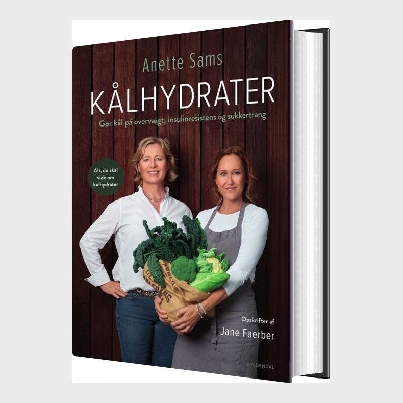 K�lhydrater - Anette Sams - Bog