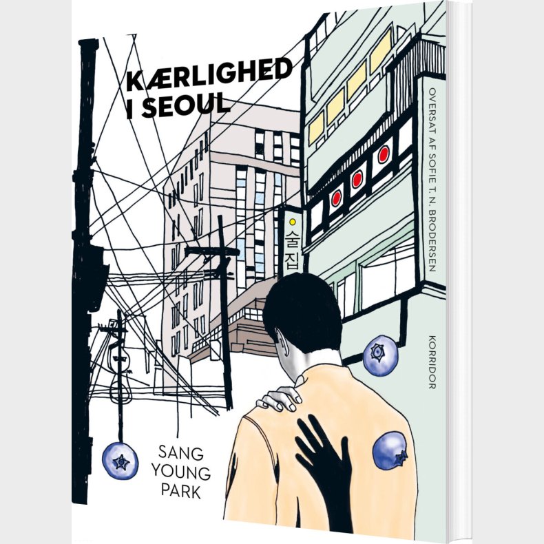 K�rlighed I Seoul - Sang Young Park - Bog