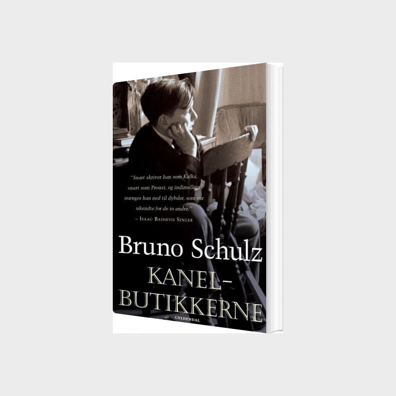 Kanelbutikkerne - Bruno Schulz - Bog