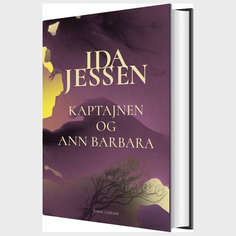 Kaptajnen Og Ann Barbara - Ida Jessen - Bog