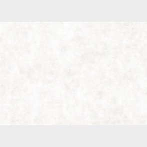 Karduspapir - A2 - 420x594 Mm - 100 G - Hvid - 500 Ark