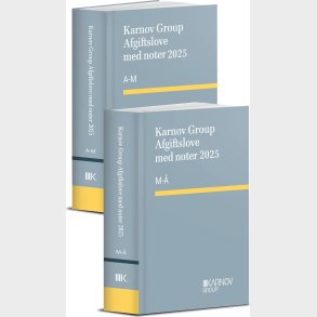 Karnov Group Afgiftslove Med Noter 2025 - Bog