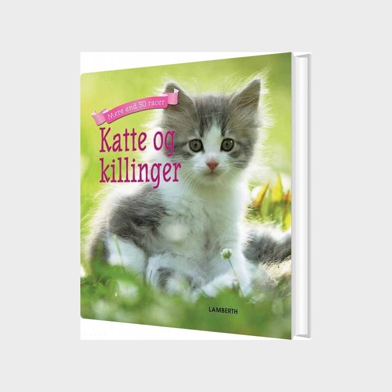 Katte Og Killinger - Christian Lamberth - Bog