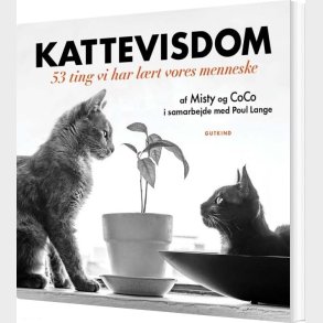 Kattevisdom - Coco - Bog