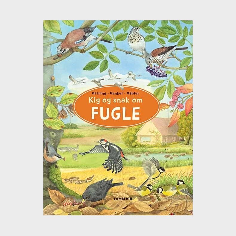 Kig Og Snak Om Fugle - B�rbel Oftring - Bog