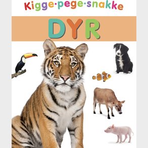 Kigge-pege-snakke: Dyr - Bog