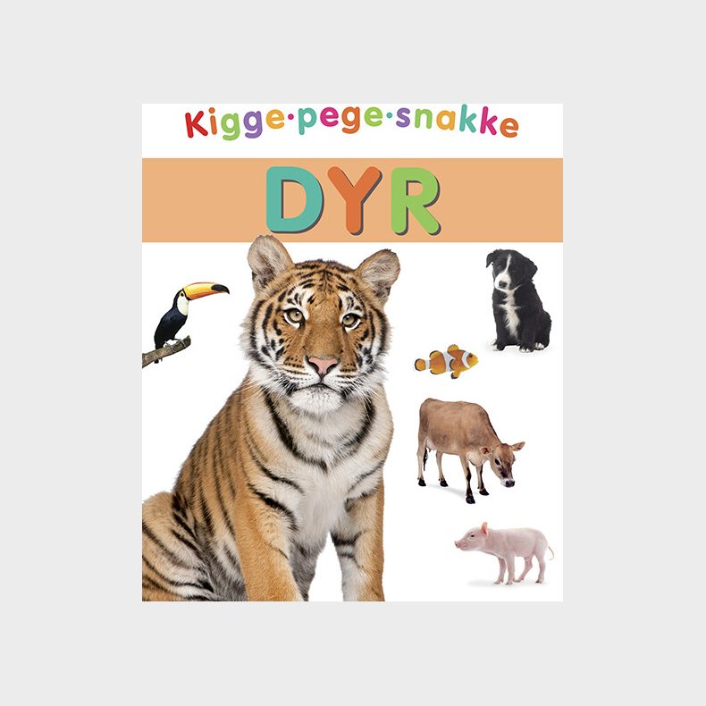 Kigge-pege-snakke: Dyr - Bog