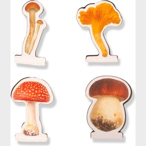 Magnetiske Bogm�rker - Svampe - 4 Stk - Kikkerland