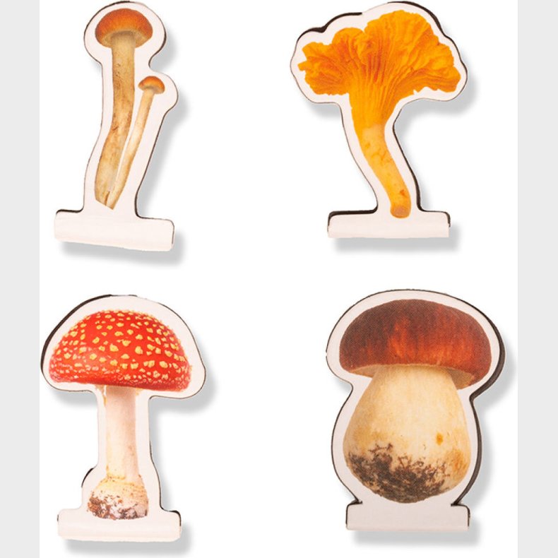 Magnetiske Bogm�rker - Svampe - 4 Stk - Kikkerland