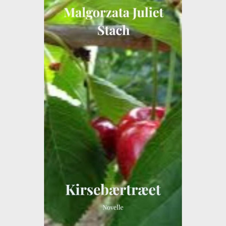 Kirseb�rtr�et - Malgorzata Stach - Bog