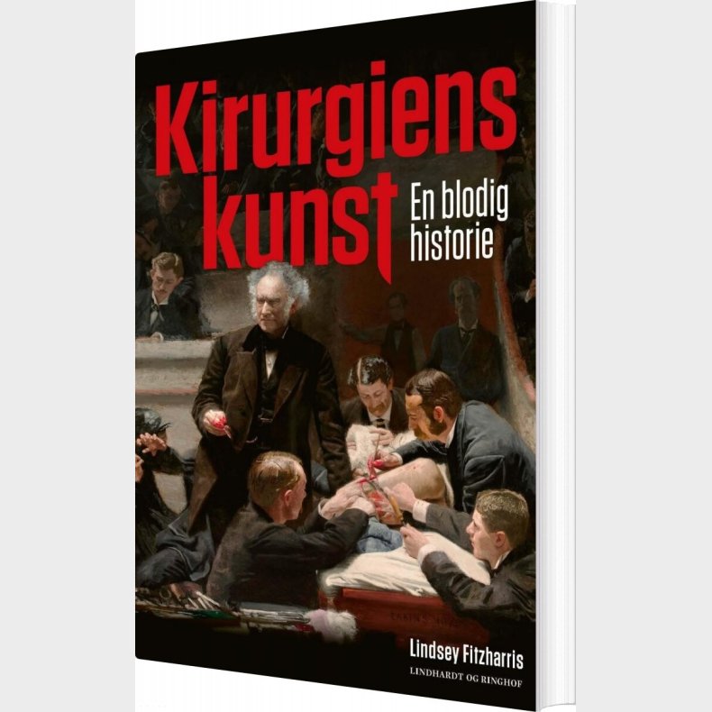 Kirurgiens Kunst - Lindsey Fitzharris - Bog
