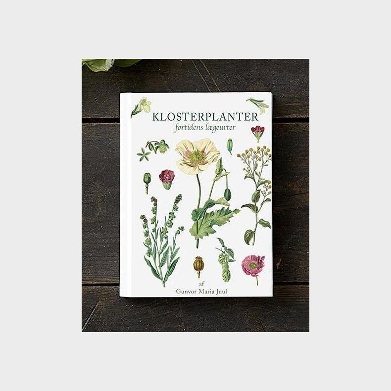 Klosterplanter - Gunvor Maria Juul - Bog