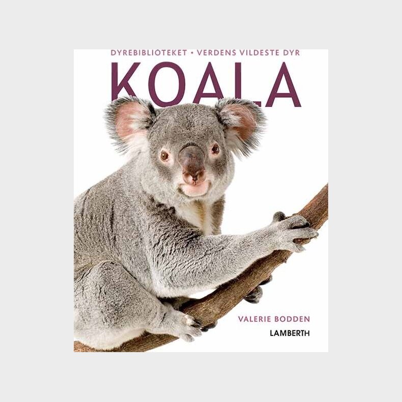 Koala - Valerie Bodden - Bog
