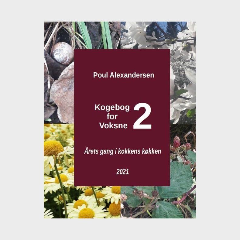 Kogebog For Voksne 2 - Poul Alexandersen - Bog