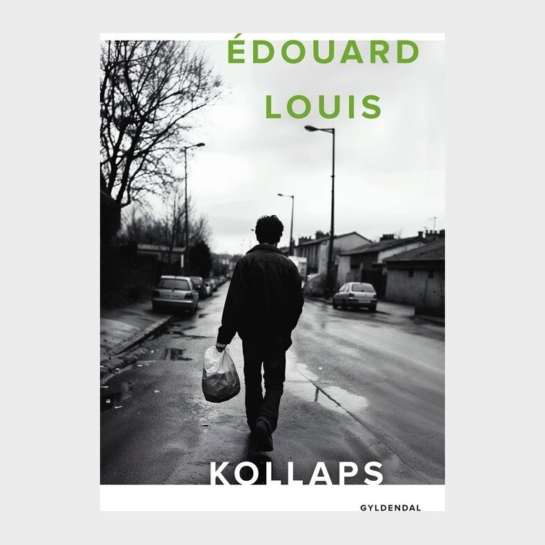 Kollaps - �douard Louis - Bog