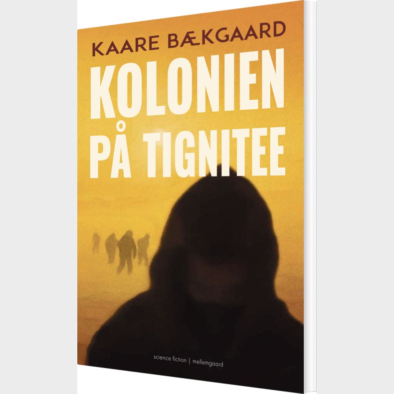 Kolonien P� Tignitee - Kaare B�kgaard - Bog
