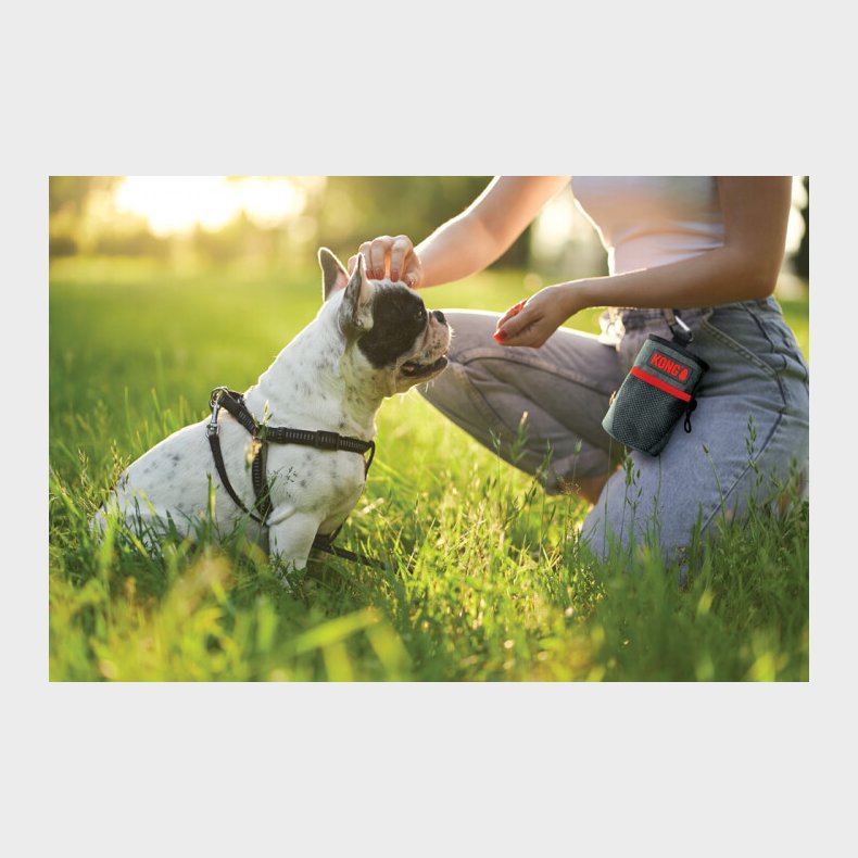 Godbidstaske Til Hunde - Kong Travel - 13 X 12 Cm