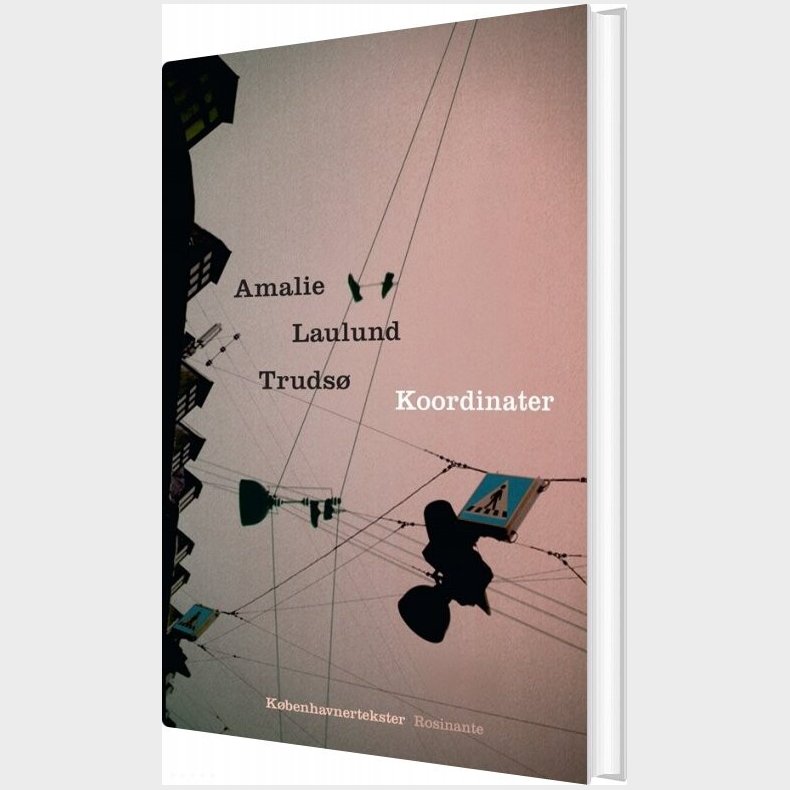 Koordinater - Amalie Laulund Truds - Bog