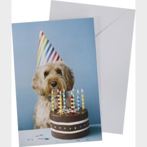 Kort Med Konvolut Hund Med Lagkage 11 X 17 Cm - Scanseason