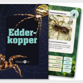 Kortspil - Edderkopper