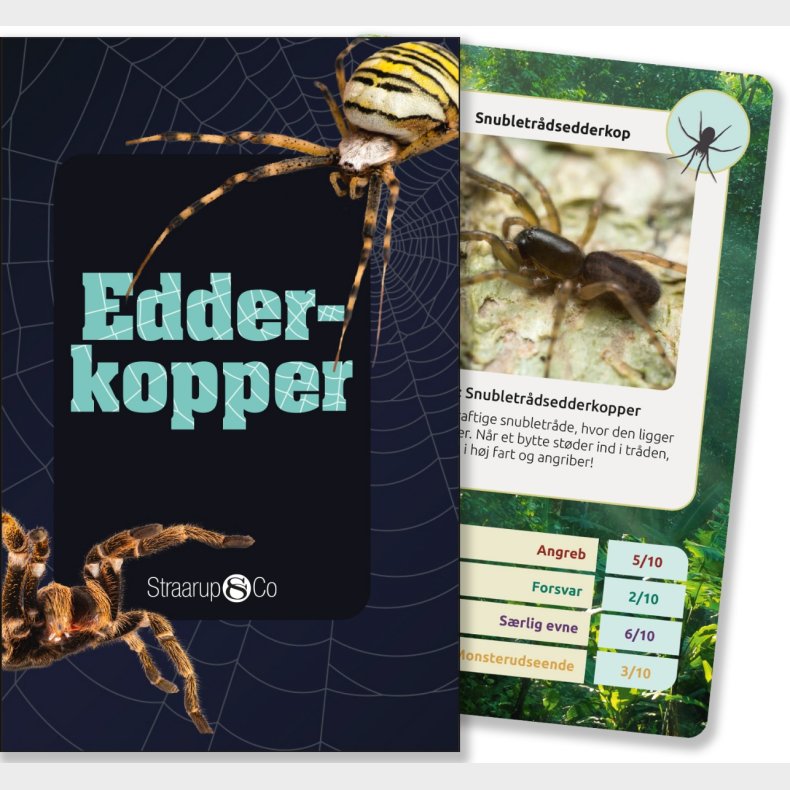 Kortspil - Edderkopper