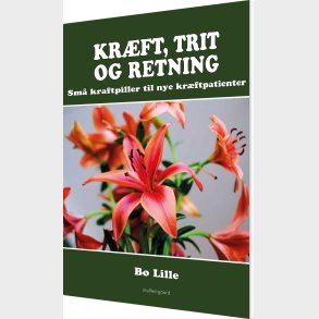 Kr�ft, Trit Og Retning - Bo Lille - Bog