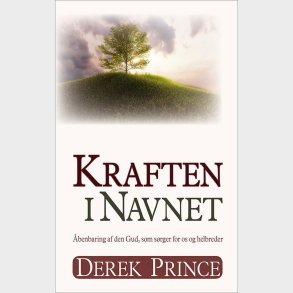 Kraften I Navnet - Derek Prince - Bog