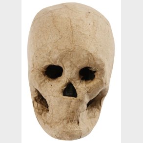 Creativ Company | Kranium i papmach - H: 10 cm.