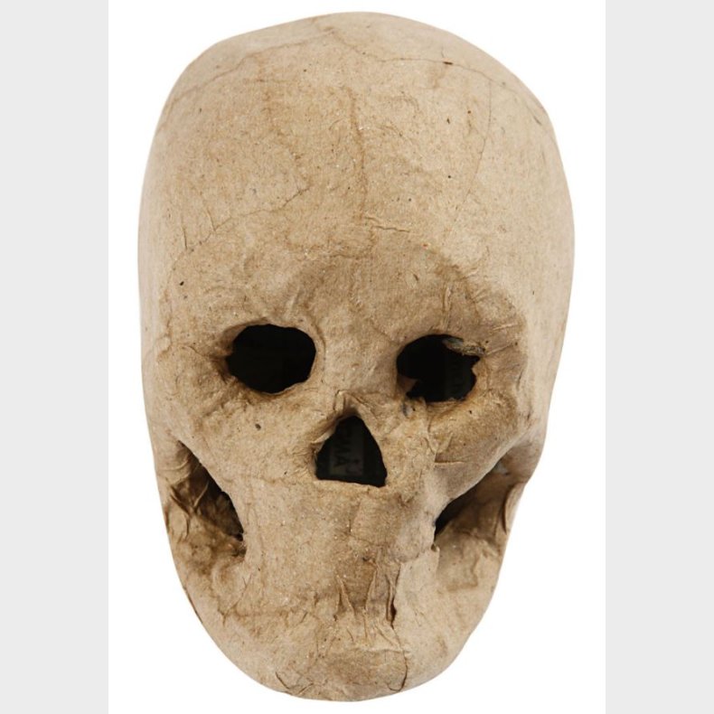 Creativ Company | Kranium i papmach - H: 10 cm.