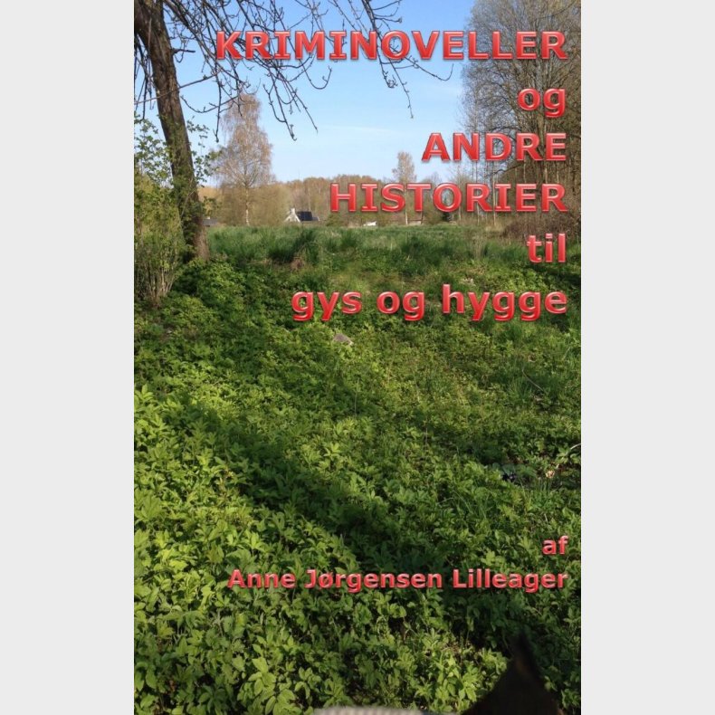 Kriminoveller Og Andre Historier Til Gys Og Hygge - Anne J�rgensen Lilleager - Bog
