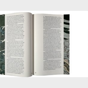 Kritik Af Den �stetiske Naturf�lelse - Stig L Andersson - Bog