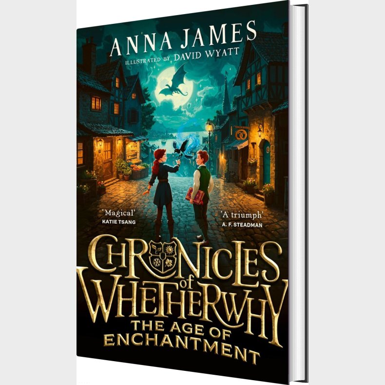 Kr�niken Om Whetherwhy - Anna James - Bog