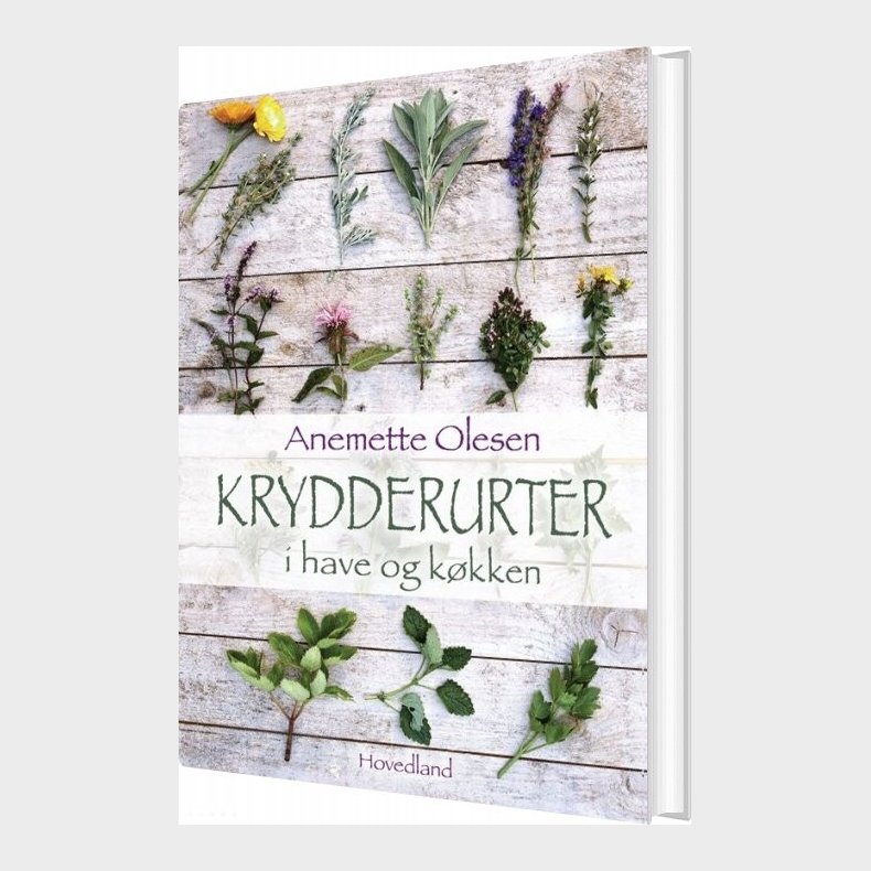 Krydderurter I Have Og Kkken - Anemette Olesen - Bog