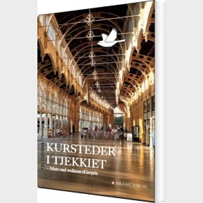 Kursteder I Tjekkiet - Ota Tiefenb�ck - Bog