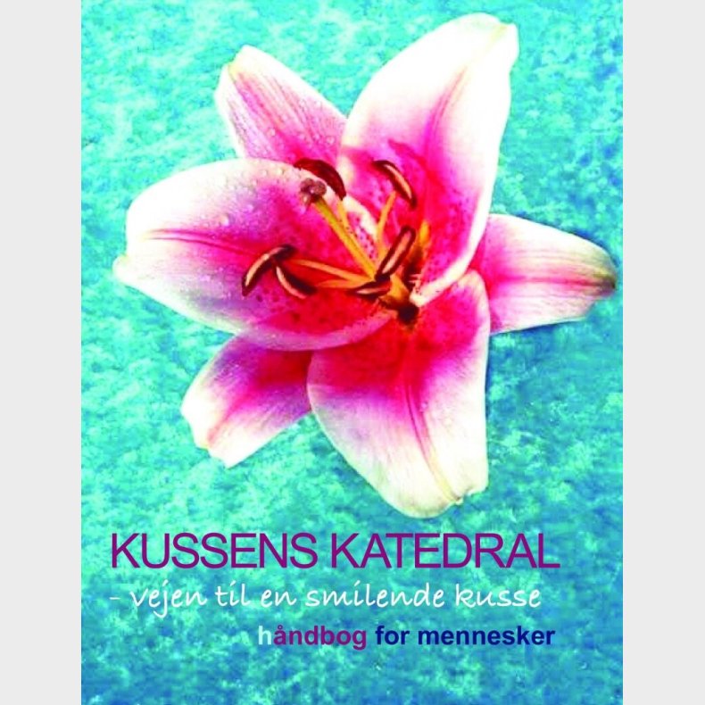 Kussens Katedral - Kirsia Isabella Olufsen - Bog