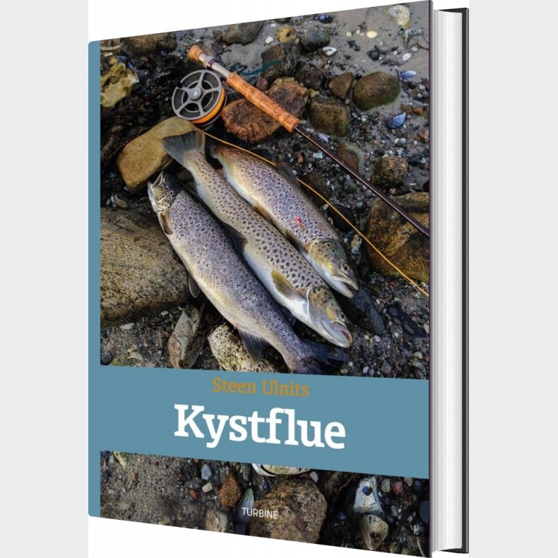 Kystflue - Steen Ulnits - Bog