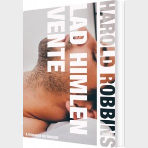 Lad Himlen Vente - Harold Robbins - Bog