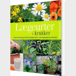 L�geurter I Krukker - Anne Mcintyre - Bog