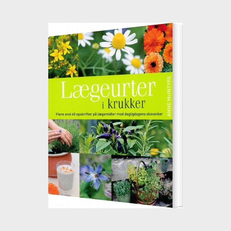 L�geurter I Krukker - Anne Mcintyre - Bog