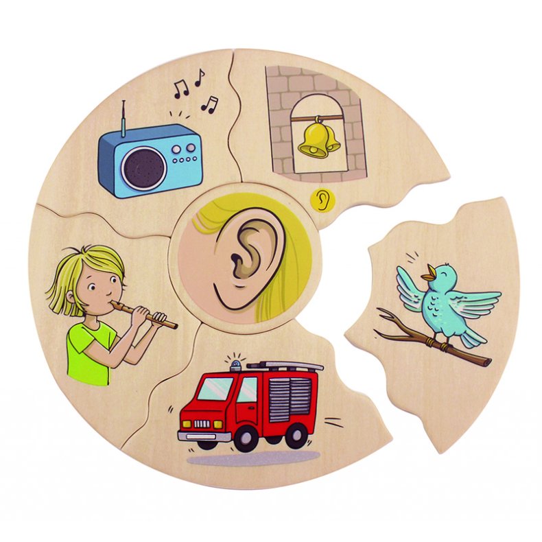 Beleduc | Puslespil i ske - De fem sanser, 5 stk